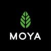 Moya Matcha logo